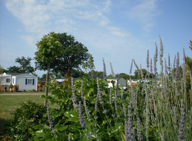 Les Brillas Países del Loira - Les Moutiers en Retz visuel 14/16