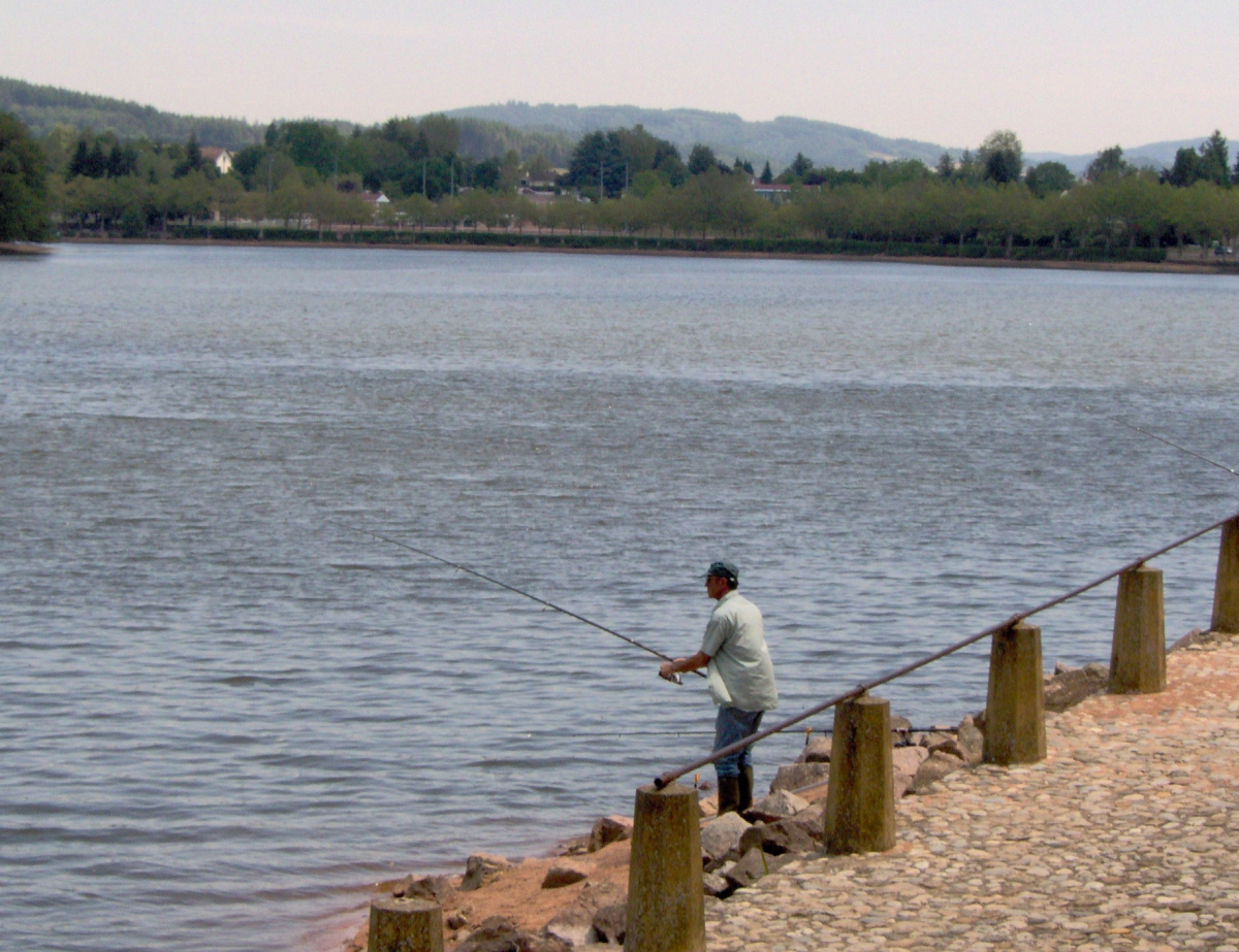 Les Bruyères Bourgogne - La Clayette visuel 4/4