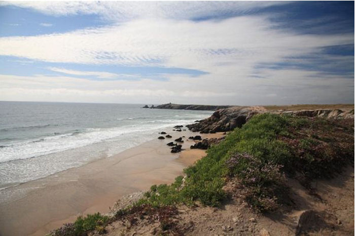 les Bruyères Bretaña - Plouharnel visuel 8/10 les Bruyères Bretaña - Plouharnel visuel 8/10
