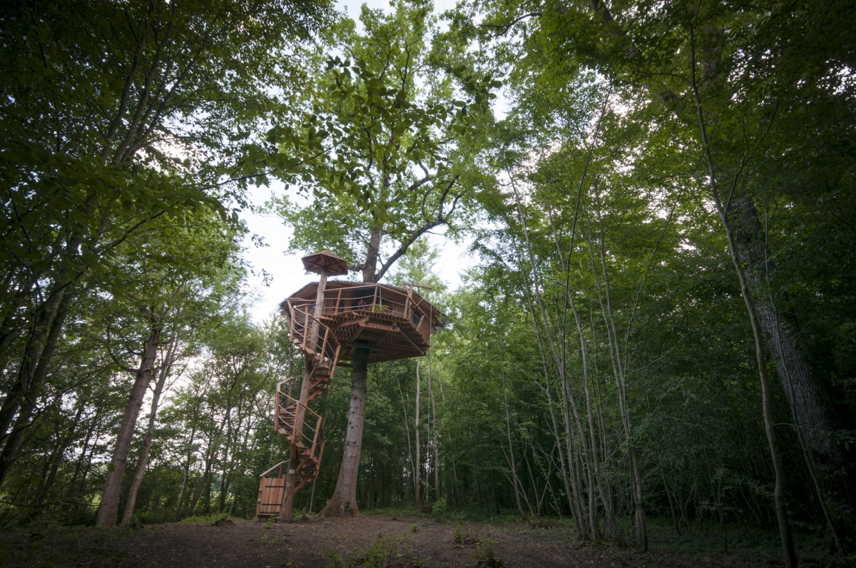 Les Cabanes au Bois d'Orient Champaña-Ardenas - Briel-sur-Barse visuel 10/10