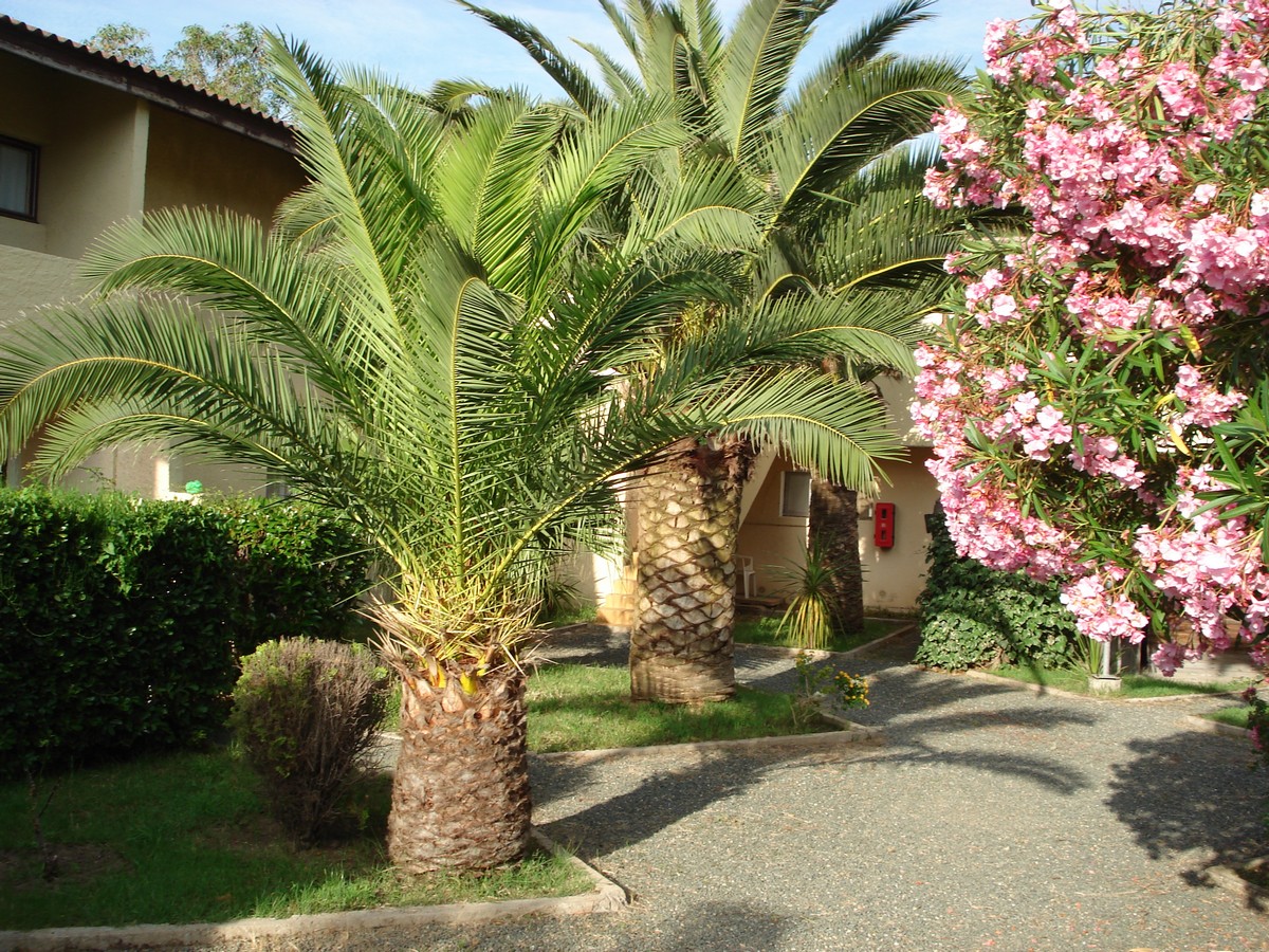 Les Castors Córcega - Calvi visuel 7/10 Les Castors Córcega - Calvi visuel 7/10