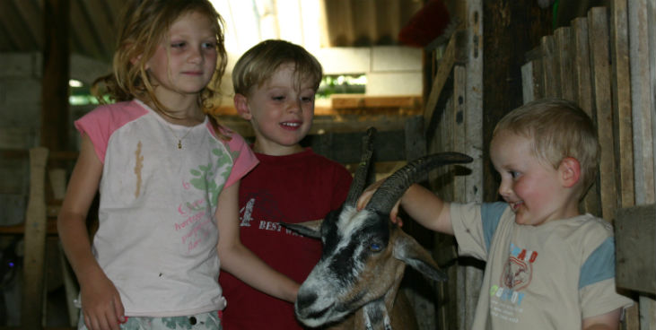 Les Catoyes Provenza-Alpes-Costa Azul - Sainte-Colombe visuel 7/7