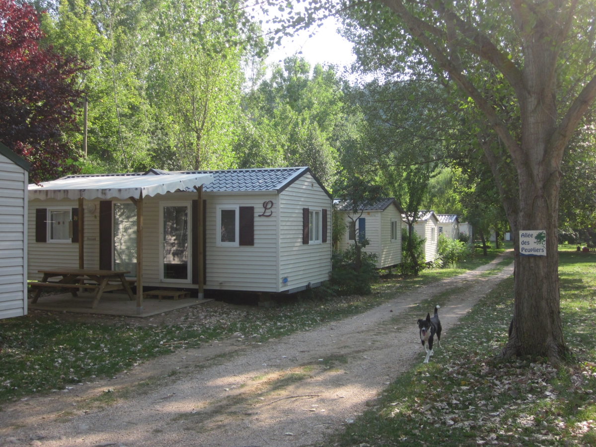 Les Cerisiers Languedoc-Rosellón - Ispagnac visuel 1/2 Les Cerisiers Languedoc-Rosellón - Ispagnac visuel 1/2
