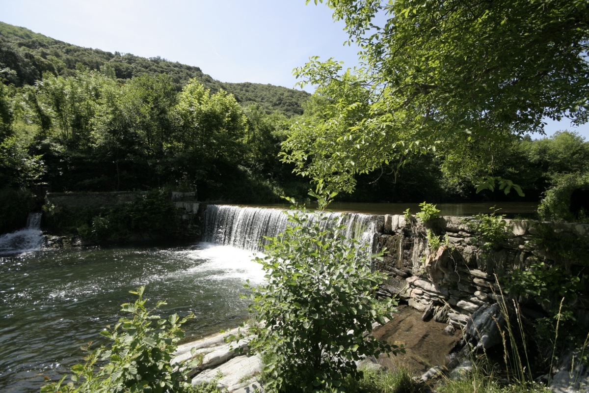 Les Cerisiers du Jaur Languedoc-Rosellón - Saint-Pons de Thomières visuel 3/9 Les Cerisiers du Jaur Languedoc-Rosellón - Saint-Pons de Thomières visuel 3/9