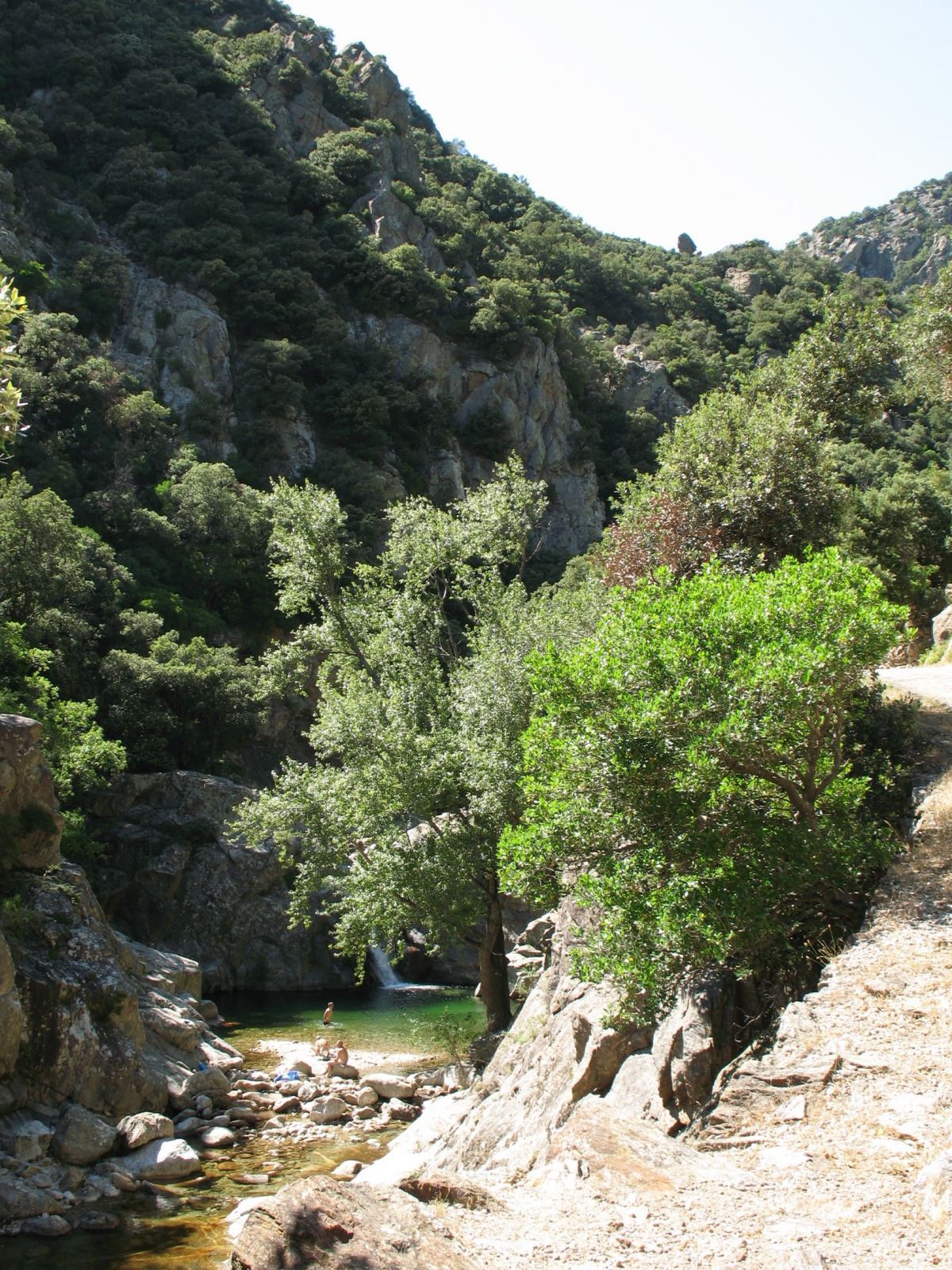 Les Cerisiers du Jaur Languedoc-Rosellón - Saint-Pons de Thomières visuel 5/9 Les Cerisiers du Jaur Languedoc-Rosellón - Saint-Pons de Thomières visuel 5/9