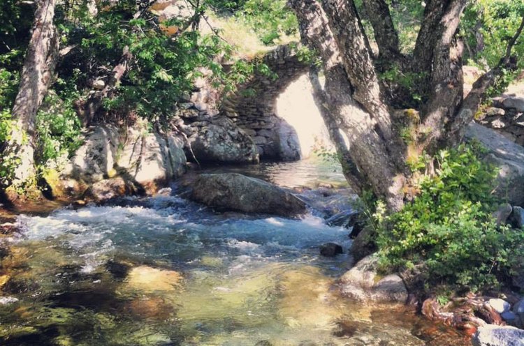 Les Chalets de Lozzi Córcega - Lozzi visuel 3/6