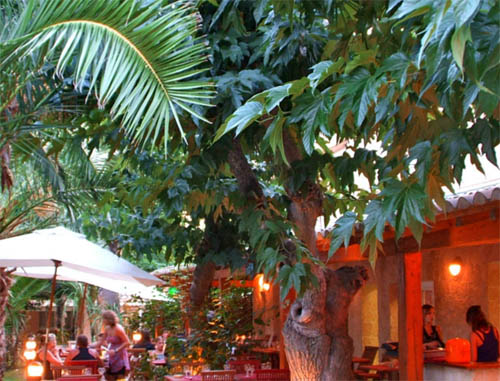 Les Champs Blancs Languedoc-Rosellón - Agde visuel 9/10 Les Champs Blancs Languedoc-Rosellón - Agde visuel 9/10