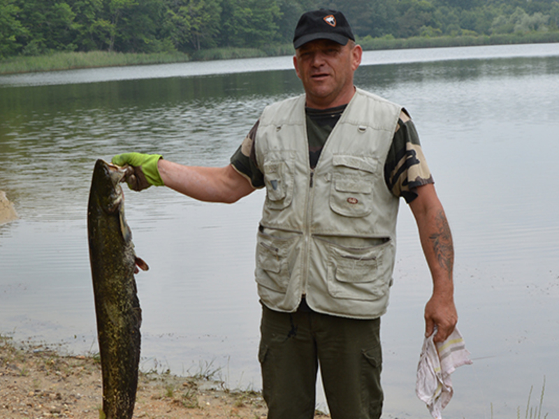 Les Châtaigniers Poitou-Charentes - Brossac visuel 2/9