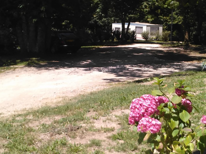 Les Châtaigniers Poitou-Charentes - Brossac visuel 7/9