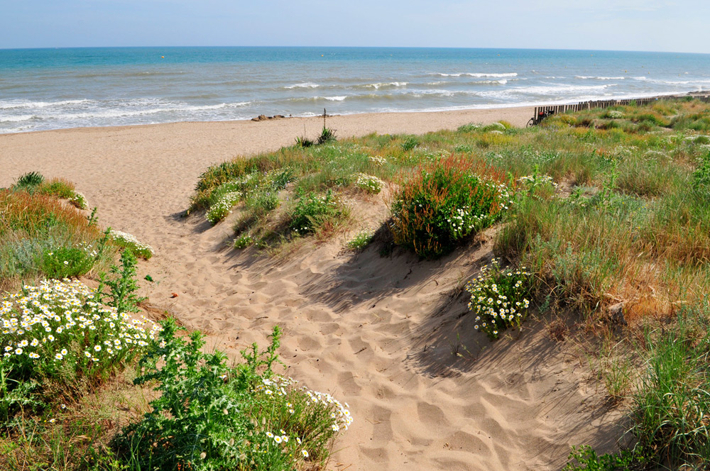 L'Occitan Languedoc-Rosellón - Vias visuel 2/7 L'Occitan Languedoc-Rosellón - Vias visuel 2/7