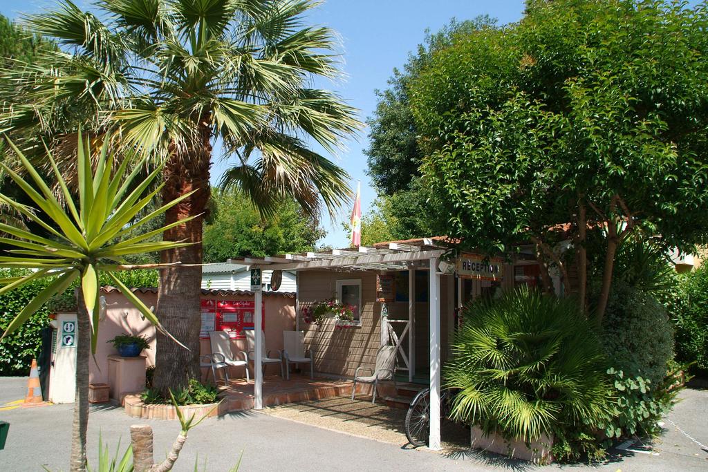 Les Cigales Provenza-Alpes-Costa Azul - Mandelieu-la-Napoule visuel 4/8 Les Cigales Provenza-Alpes-Costa Azul - Mandelieu-la-Napoule visuel 4/8