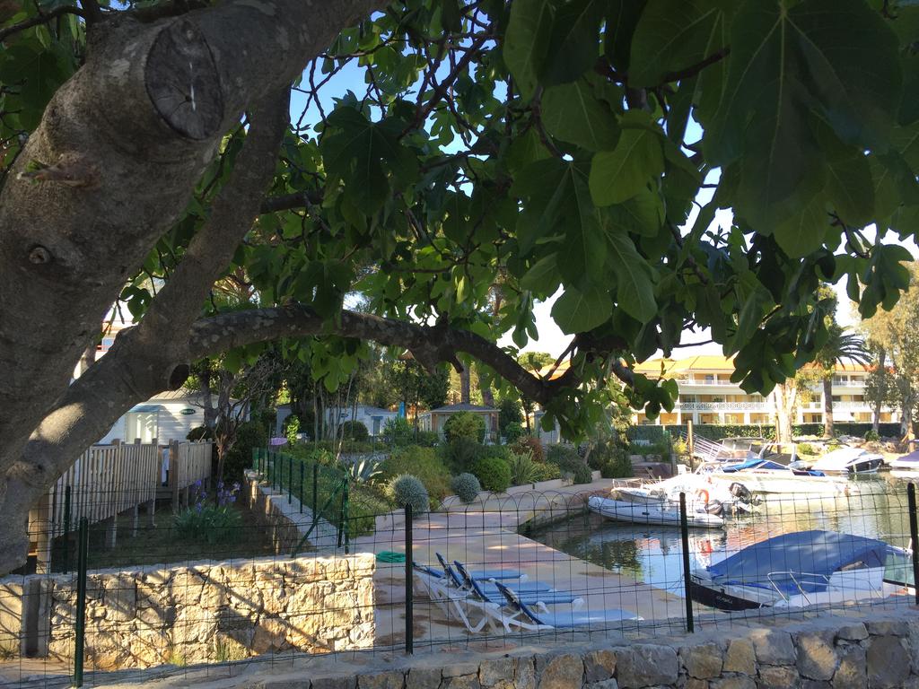 Les Cigales Provenza-Alpes-Costa Azul - Mandelieu-la-Napoule visuel 6/8 Les Cigales Provenza-Alpes-Costa Azul - Mandelieu-la-Napoule visuel 6/8