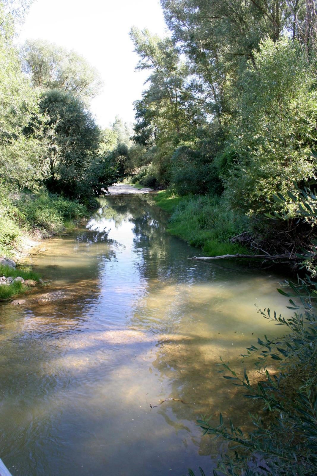 Les Coccinelles Provenza-Alpes-Costa Azul - Lurs visuel 4/4 Les Coccinelles Provenza-Alpes-Costa Azul - Lurs visuel 4/4