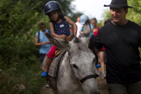 Les collines de Sainte-Féréole Limosín - Sainte-Féréole visuel 6/12