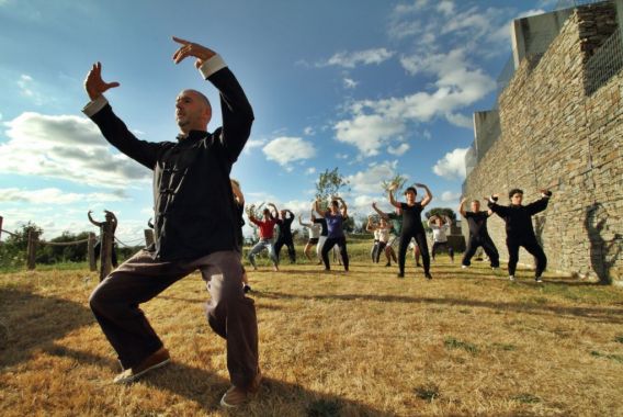Les collines de Sainte-Féréole Limosín - Sainte-Féréole visuel 12/12
