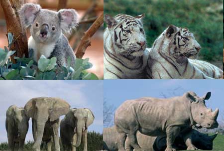 Les Coteaux du Lac centro valle - Chemillé-sur-Indrois visuel 2/10 Les Coteaux du Lac centro valle - Chemillé-sur-Indrois visuel 2/10