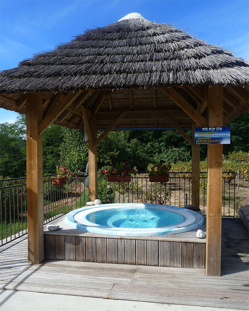 Les Cruses Ródano-Alpes - Ribes visuel 5/11