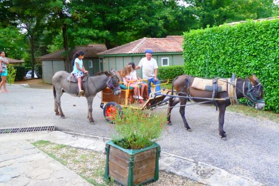Les Cruses Ródano-Alpes - Ribes visuel 9/11