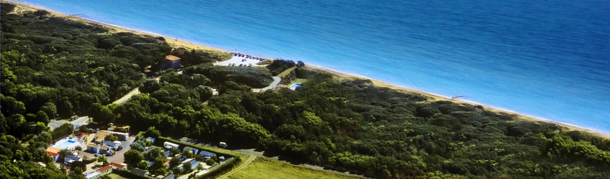 Les Cupressus Poitou-Charentes - Saint-Pierre-d'Oléron visuel 1/1 Les Cupressus Poitou-Charentes - Saint-Pierre-d'Oléron visuel 1/1