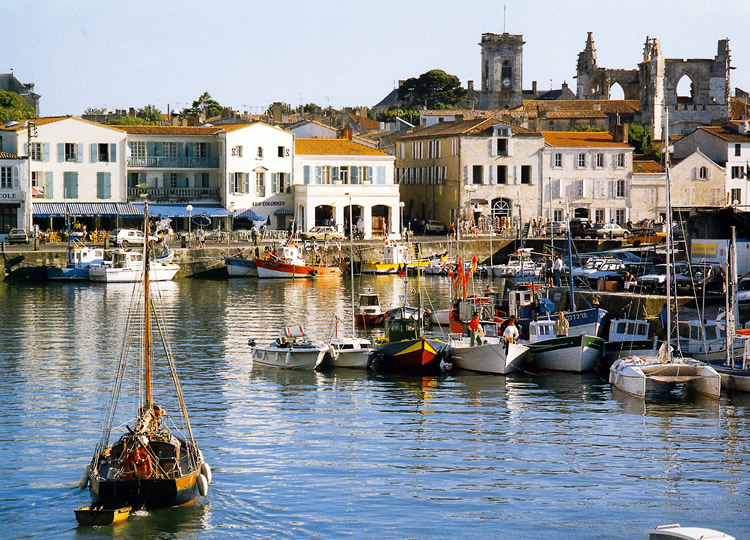 Les Dunes Países del Loira - Longeville sur Mer visuel 7/12 Les Dunes Países del Loira - Longeville sur Mer visuel 7/12