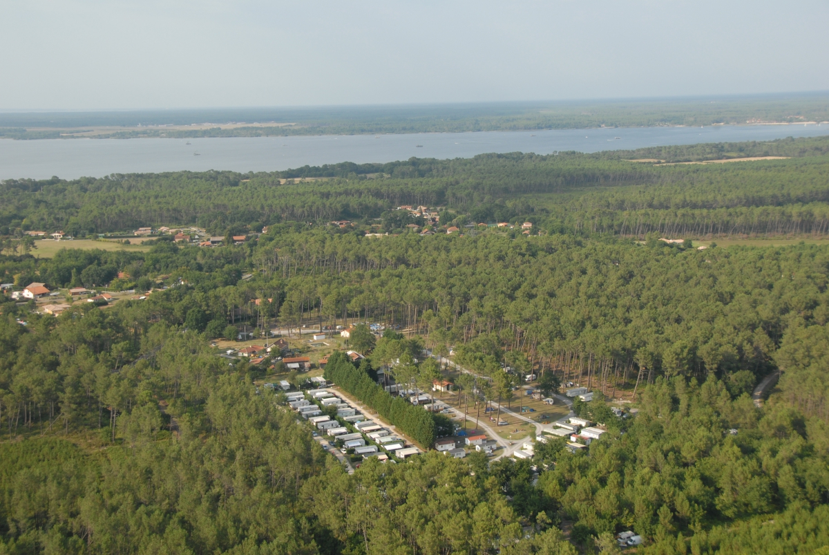 Les Echasses Aquitania - Gastes visuel 8/8 Les Echasses Aquitania - Gastes visuel 8/8