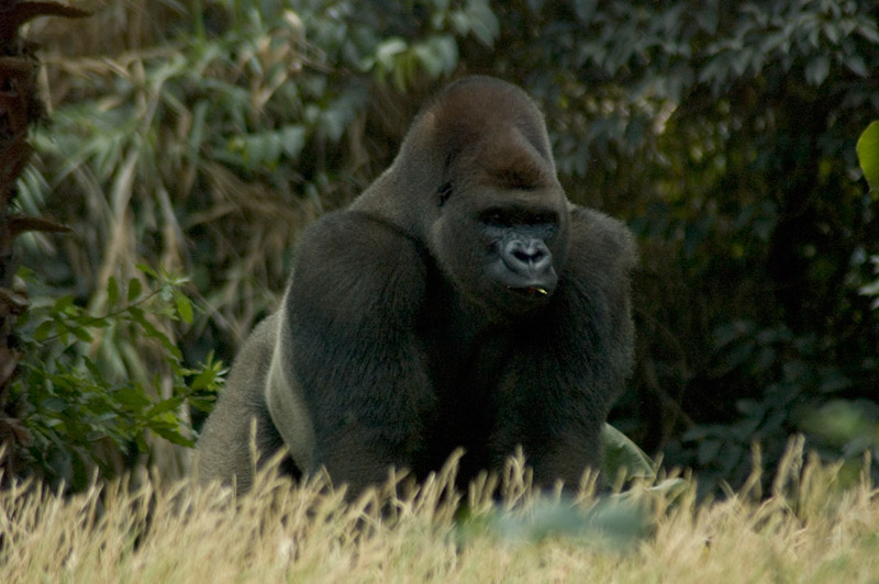 Les Etangs Mina Poitou-Charentes - Saint-Sornin visuel 11/11