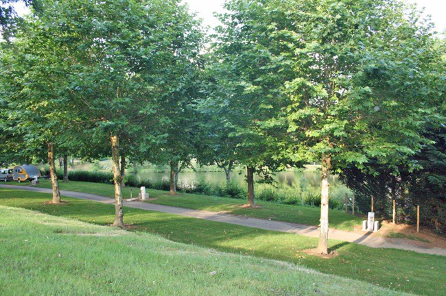 Les Etoiles Limosín - Saint-Sornin-Lavolps visuel 3/5 Les Etoiles Limosín - Saint-Sornin-Lavolps visuel 3/5