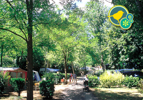 Les Fauvettes Languedoc-Rosellón - Anduze visuel 8/11 Les Fauvettes Languedoc-Rosellón - Anduze visuel 8/11