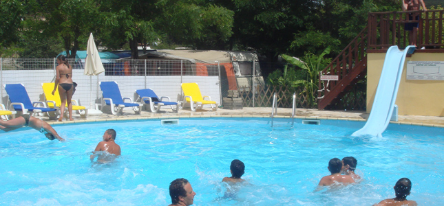 Les Floralies Provenza-Alpes-Costa Azul - Montauroux visuel 2/5