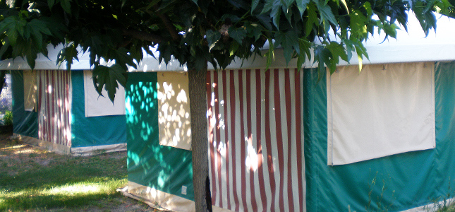 Les Floralies Provenza-Alpes-Costa Azul - Montauroux visuel 4/5