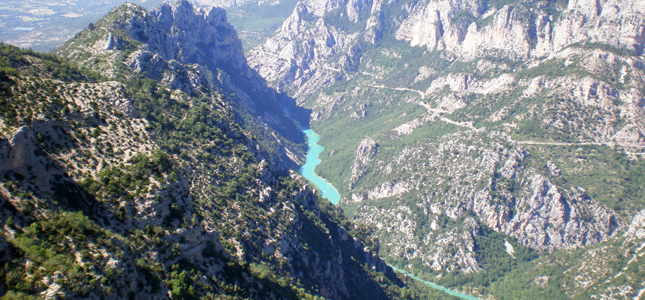 Les Floralies Provenza-Alpes-Costa Azul - Montauroux visuel 5/5