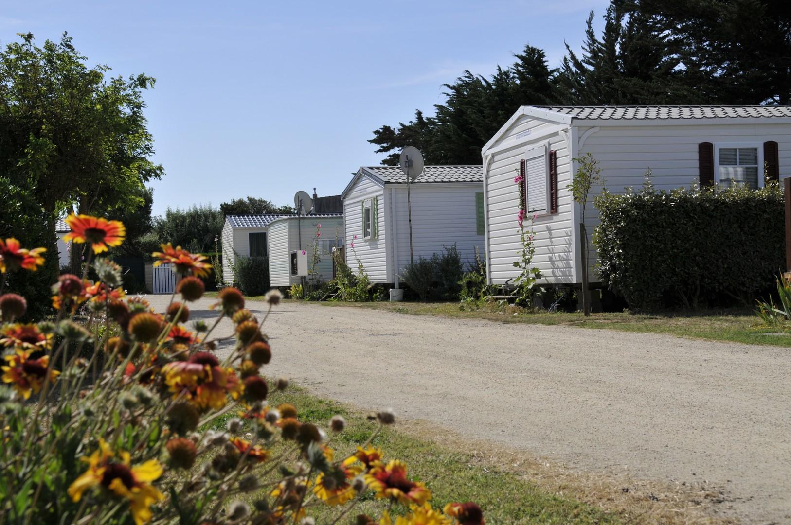 Les Flots Atlantique Poitou-Charentes - Saint-Pierre-d'Oléron visuel 2/4 Les Flots Atlantique Poitou-Charentes - Saint-Pierre-d'Oléron visuel 2/4