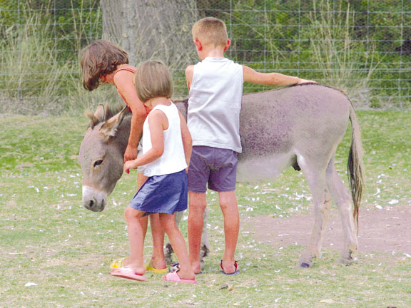 Les Fontaines Languedoc-Rosellón - Canet-en-Roussillon visuel 3/10