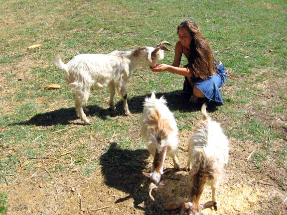 Les Fontaines Languedoc-Rosellón - Canet-en-Roussillon visuel 9/10