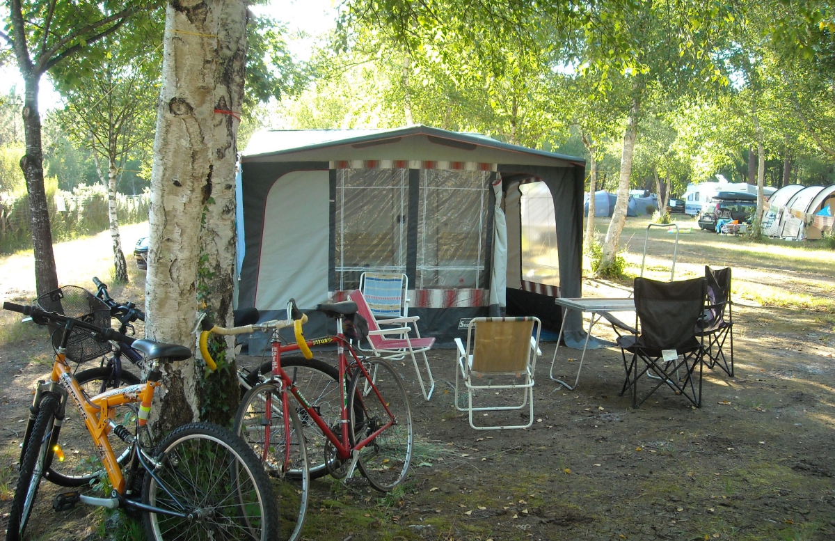 Les Fougères Aquitania - Lacanau visuel 3/4 Les Fougères Aquitania - Lacanau visuel 3/4