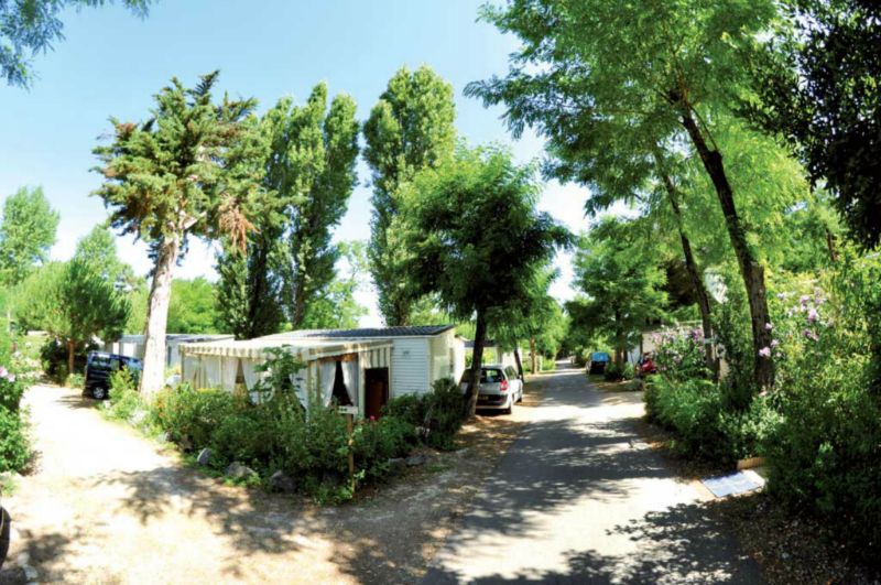 Les Fougères Poitou-Charentes - Rivedoux-Plage visuel 9/11