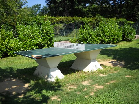 Les Fouguières Provenza-Alpes-Costa Azul - Carcès visuel 8/11