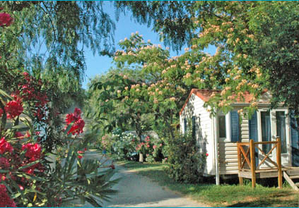 Les Galets Languedoc-Rosellón - Argelès-sur-Mer visuel 5/8