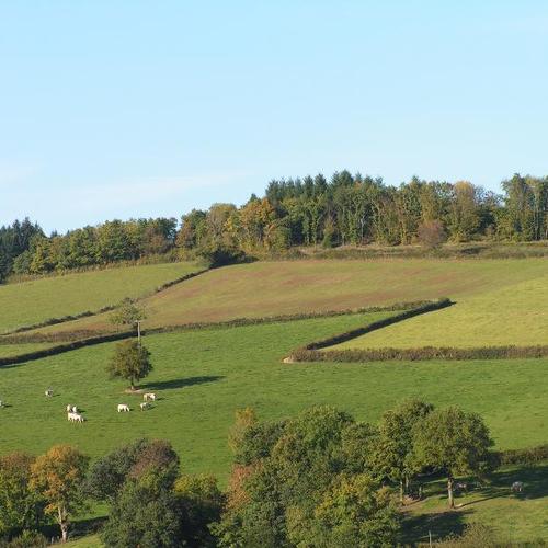 Les Genêts du Morvan Bourgogne - Ouroux-en-Morvan visuel 2/3 Les Genêts du Morvan Bourgogne - Ouroux-en-Morvan visuel 2/3