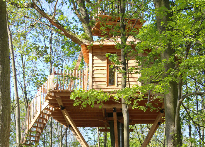 Domaine les Grands Chênes Picardía - Raray visuel 15/15 Domaine les Grands Chênes Picardía - Raray visuel 15/15