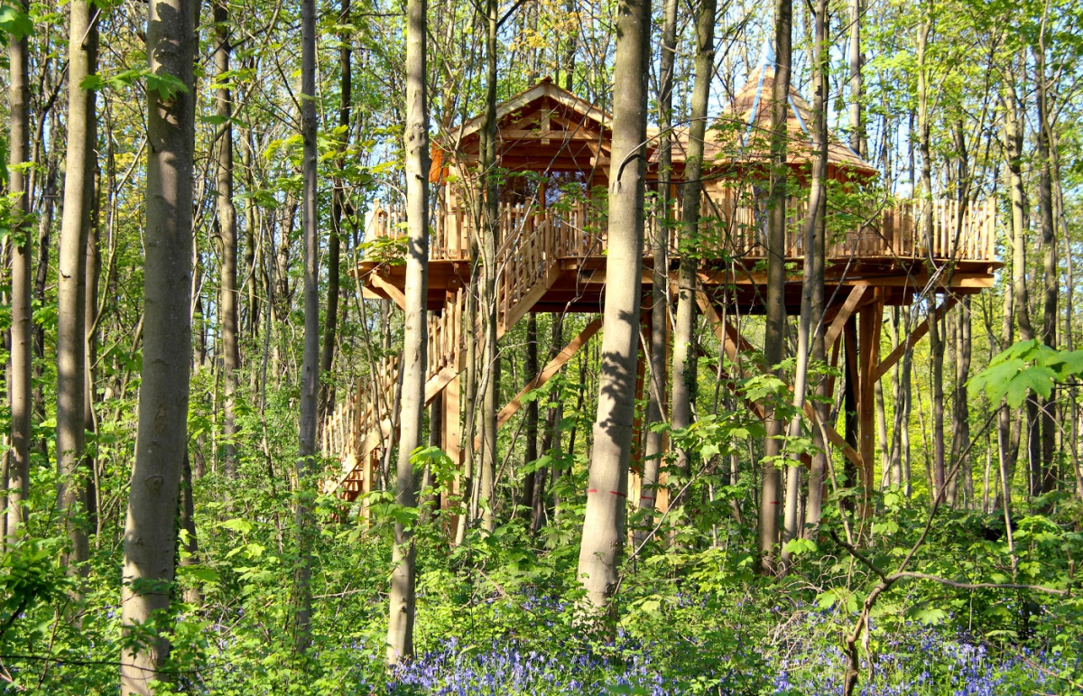 Domaine les Grands Chênes Picardía - Raray visuel 8/15 Domaine les Grands Chênes Picardía - Raray visuel 8/15