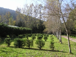 Les Granges Bas Lorena - Gérardmer visuel 3/8 Les Granges Bas Lorena - Gérardmer visuel 3/8