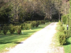 Les Granges Bas Lorena - Gérardmer visuel 5/8 Les Granges Bas Lorena - Gérardmer visuel 5/8