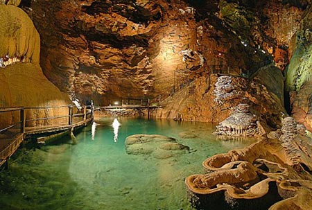 Les Hameaux de Miel Limosín - Beynat visuel 10/10 Les Hameaux de Miel Limosín - Beynat visuel 10/10