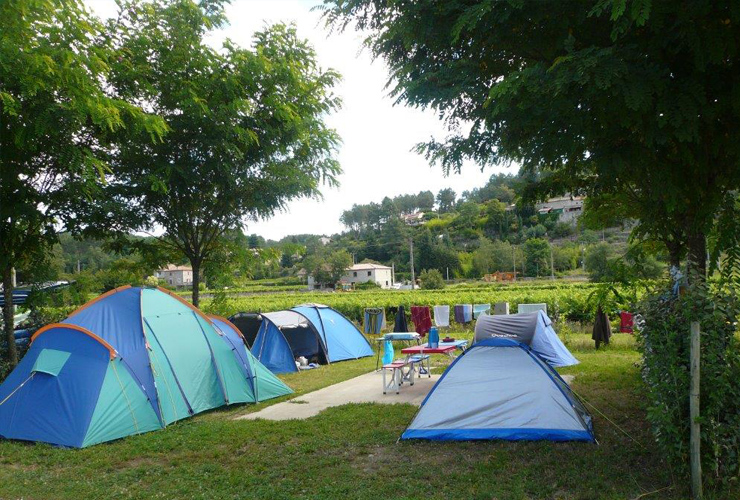 Les Hortensias Ródano-Alpes - La Rosière visuel 6/11