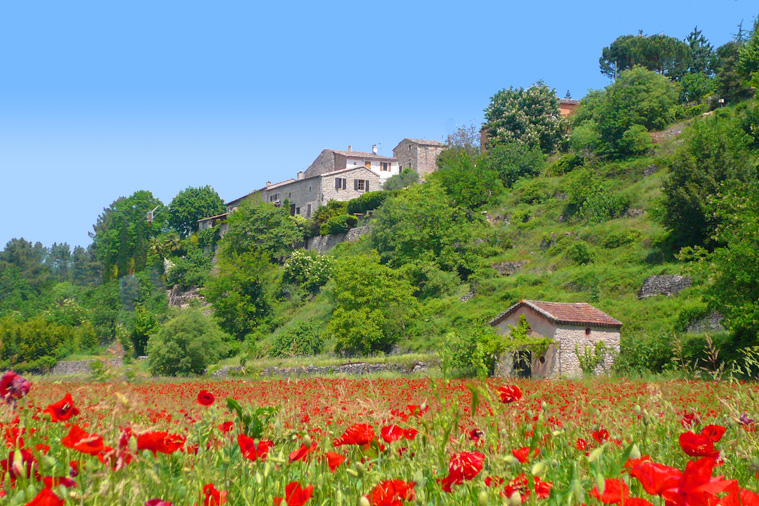 Les Hortensias Ródano-Alpes - La Rosière visuel 10/11