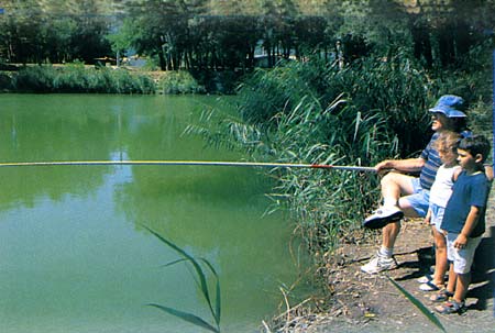 Les Ilons Ródano-Alpes - Cruas visuel 9/9