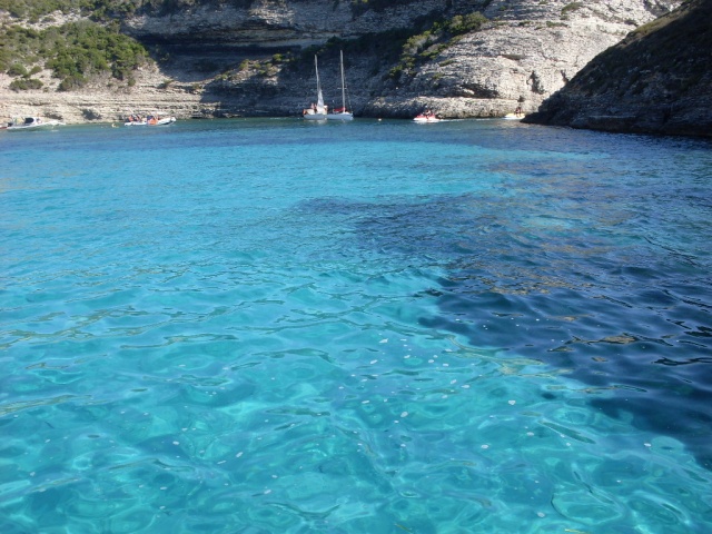 Les Ilots d'Or Córcega - Porto-Vecchio visuel 1/1 Les Ilots d'Or Córcega - Porto-Vecchio visuel 1/1