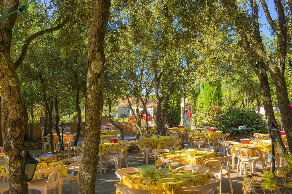 Les Lacs du Verdon Provenza-Alpes-Costa Azul - Régusse visuel 19/24 Les Lacs du Verdon Provenza-Alpes-Costa Azul - Régusse visuel 19/24