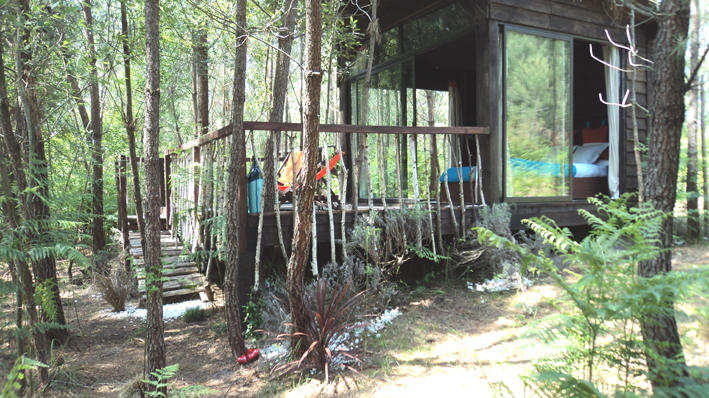 Les Landines Aquitania - Origne visuel 2/6